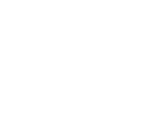 Fotografamos - wedding and elopement photography