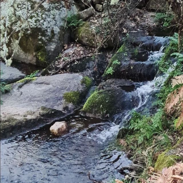 Quinta da Utopia