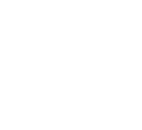 Carlos Amaral Fotografia