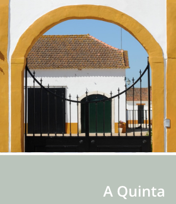 Quinta do Freixo