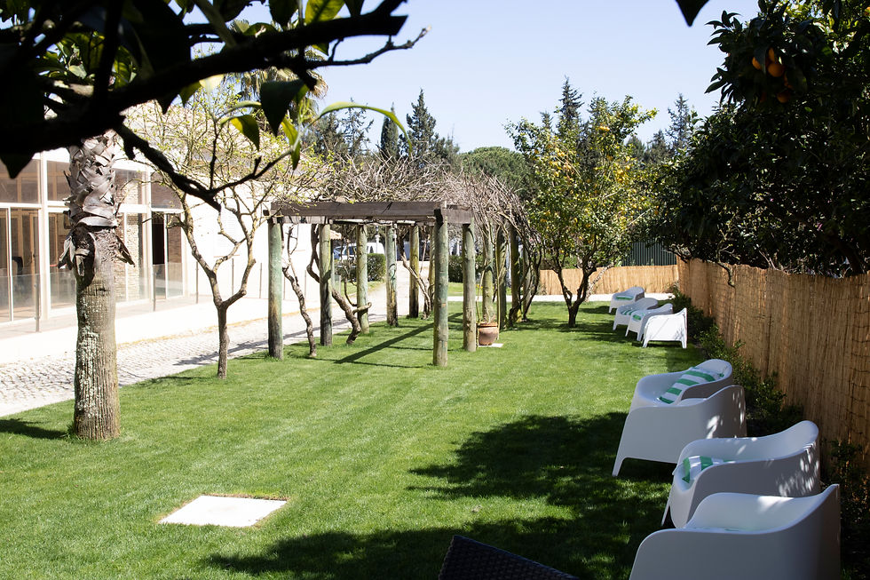 Quinta dos Plátanos (Palmela)