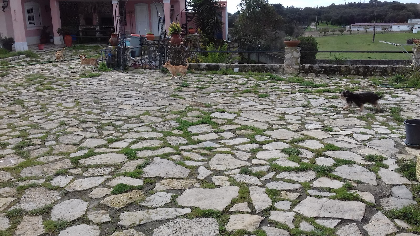 Monte Velho