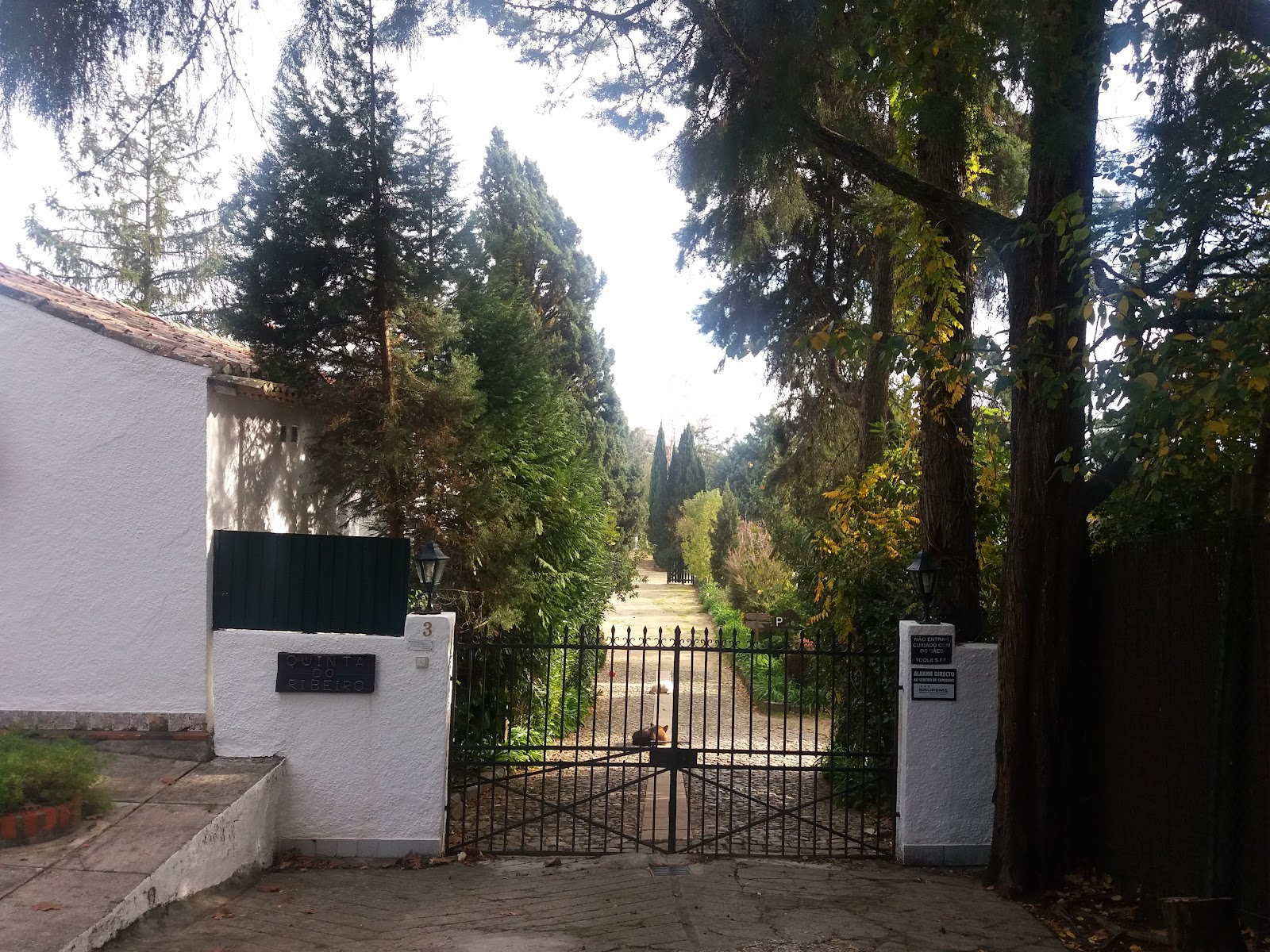 Quinta do Ribeiro