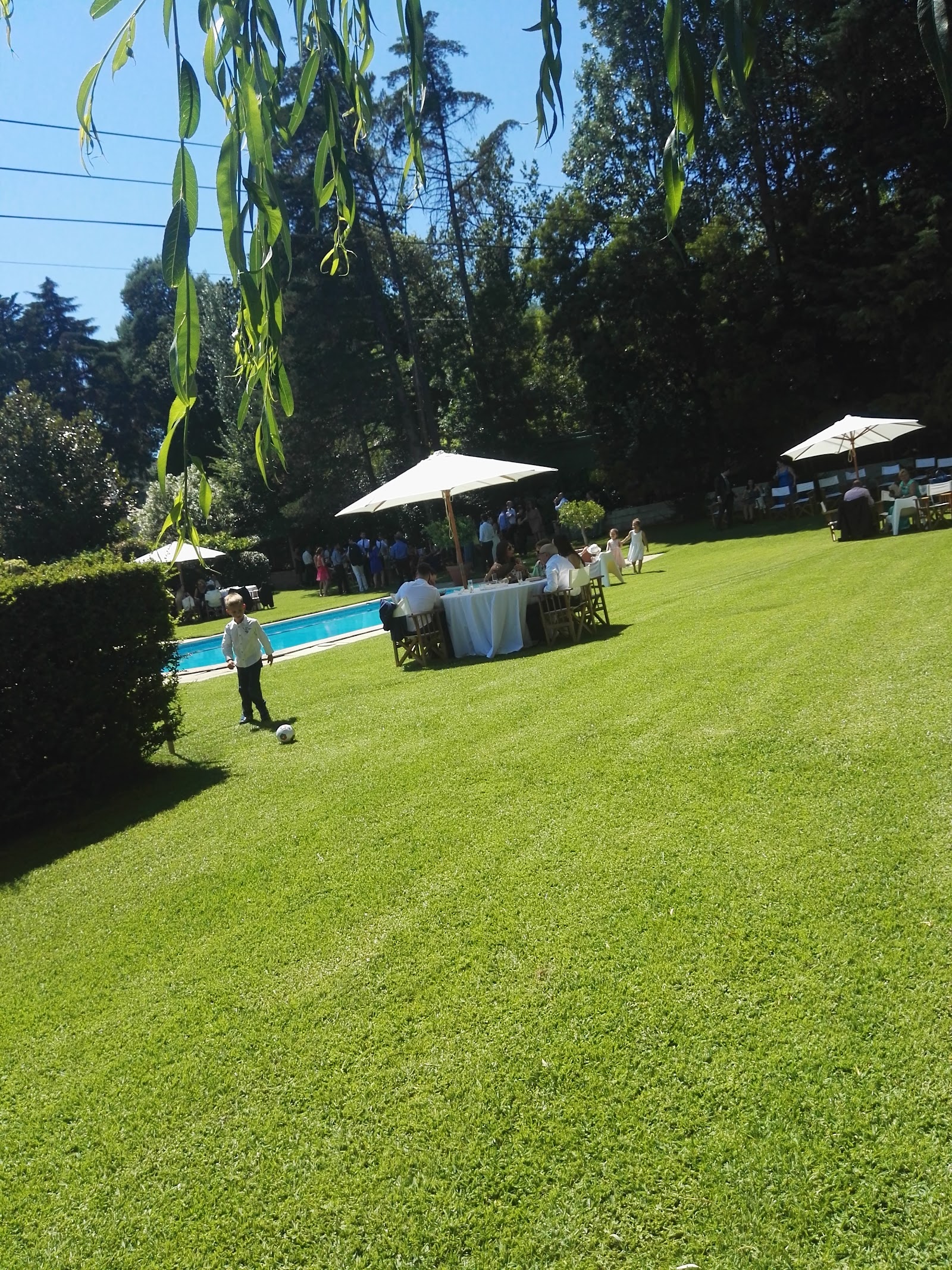 Quinta do Ribeiro