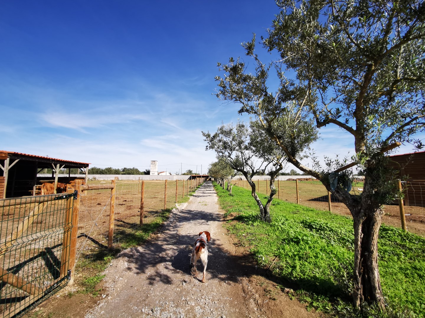 Quinta do Louredo