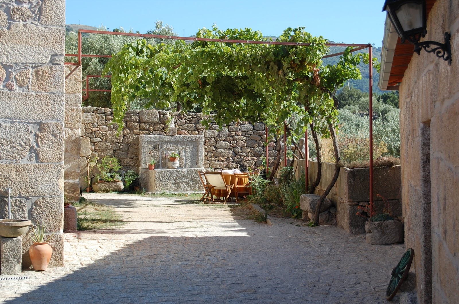 Quinta do Seixo - Faia Guarda