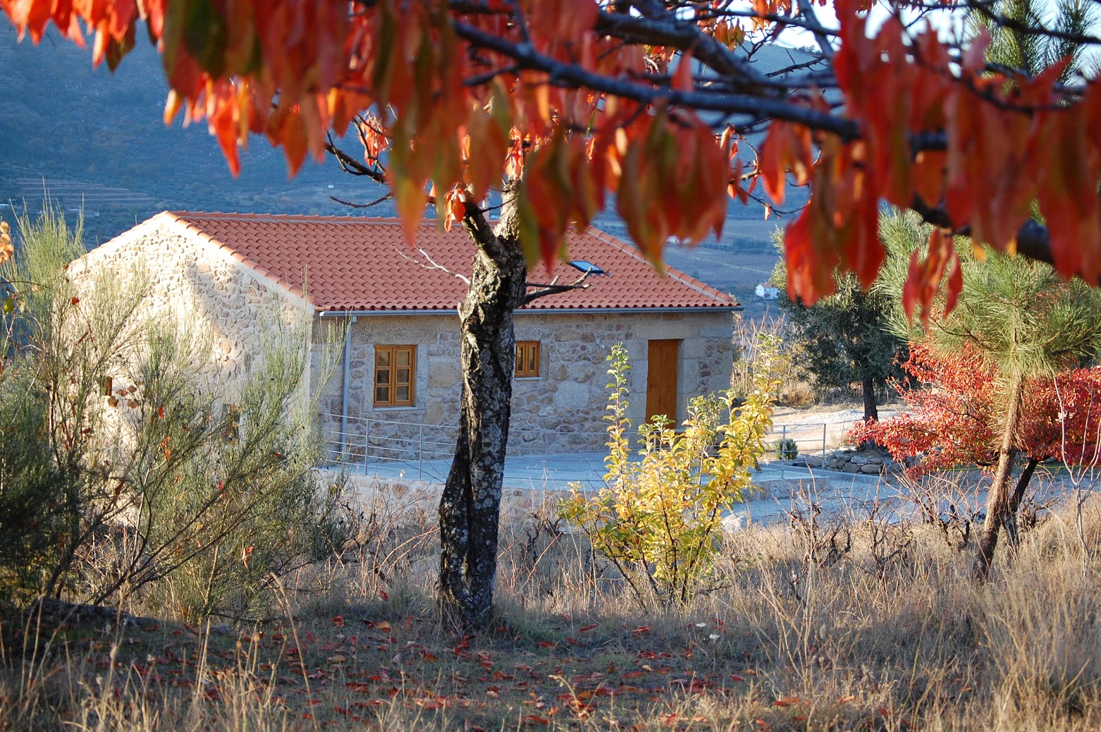 Quinta do Seixo - Faia Guarda