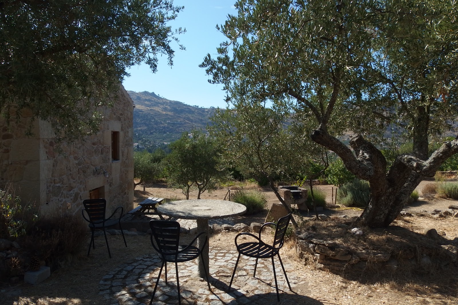Quinta do Seixo - Faia Guarda