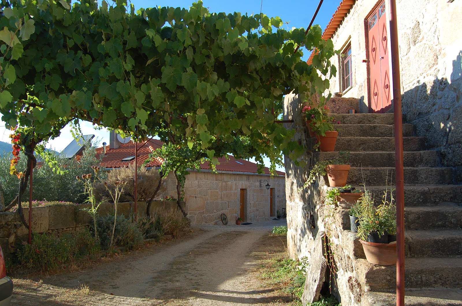 Quinta do Seixo - Faia Guarda