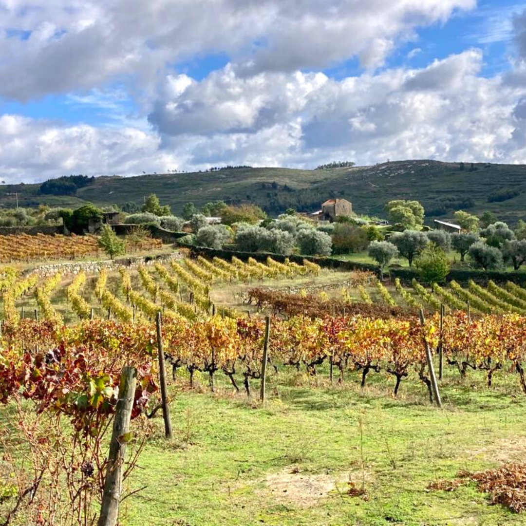 Quinta da Cerca