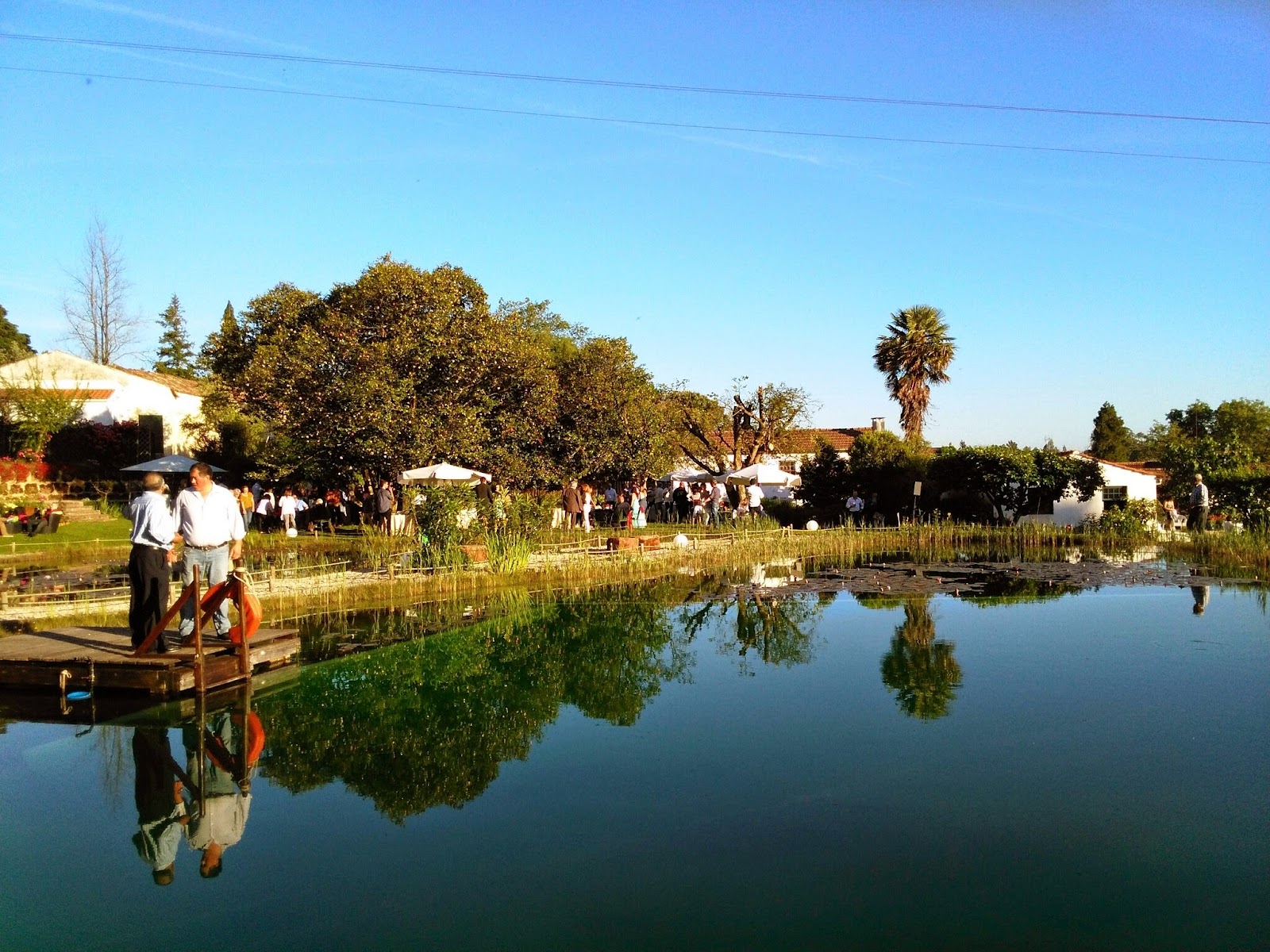 Quinta Da Fontoura, Lda.