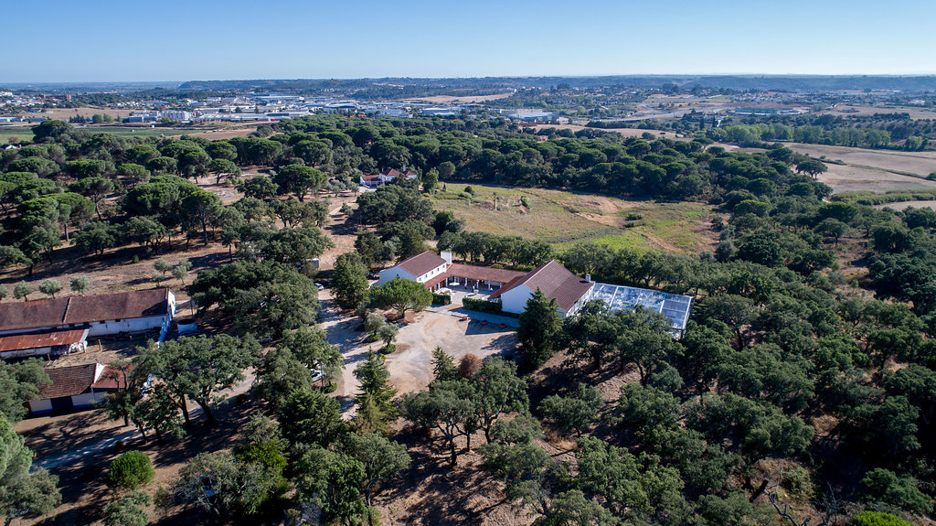 Quinta Dos Anjos