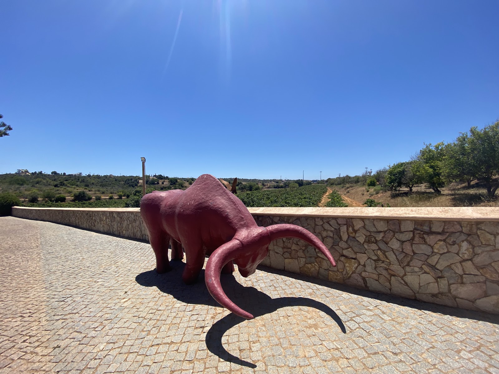 Quinta dos Vales - Wine Estate