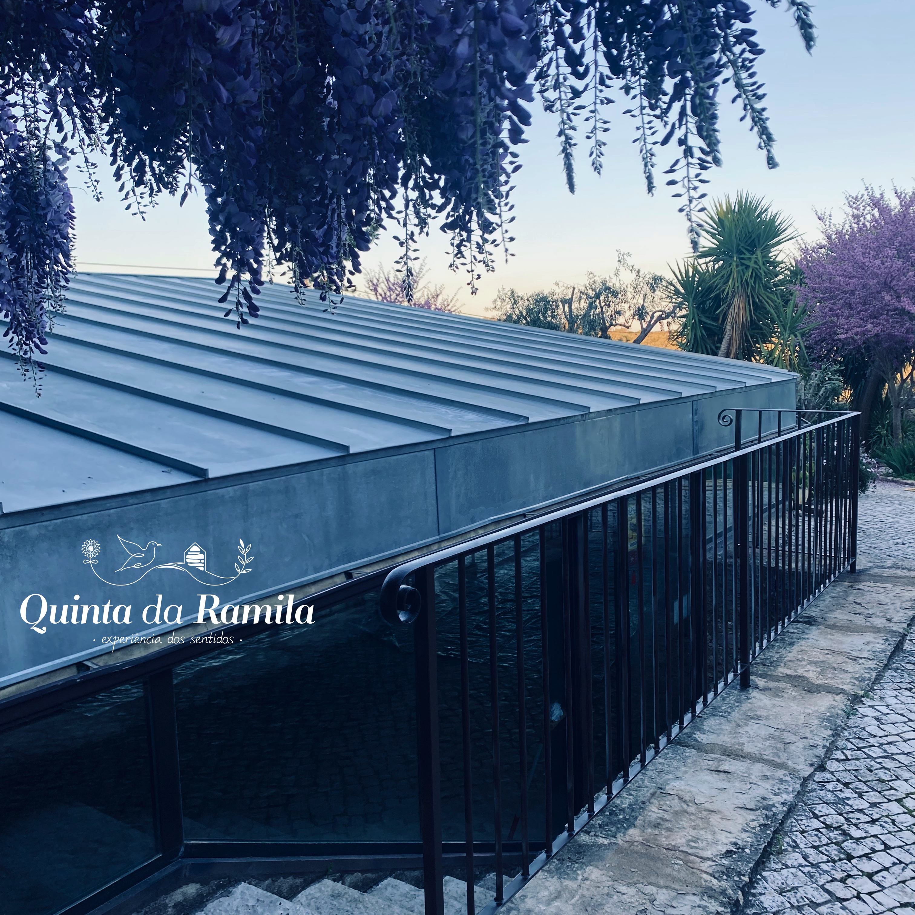 Quinta Da Ramila