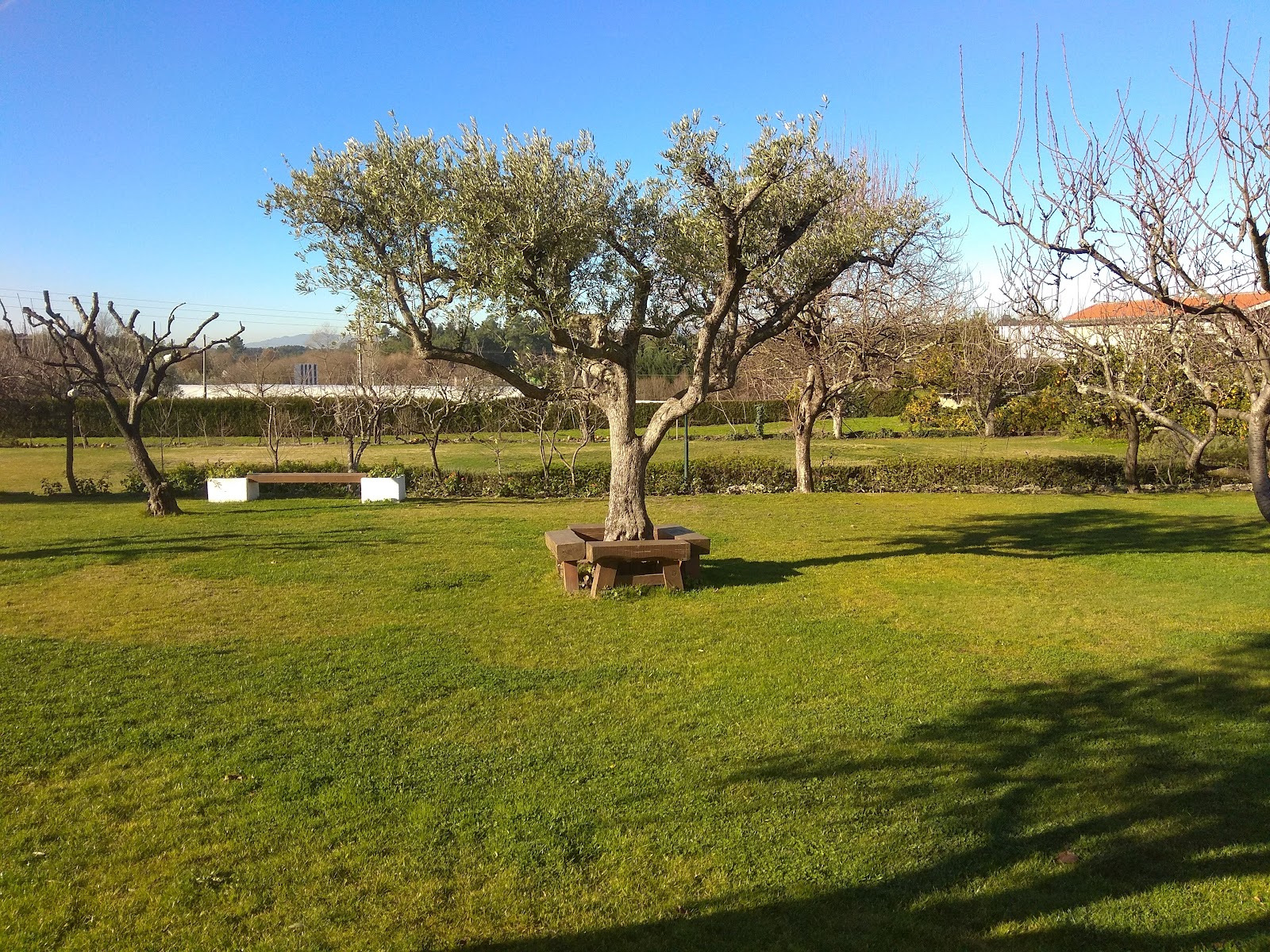 Quinta d'Arroteia Turismo Rural