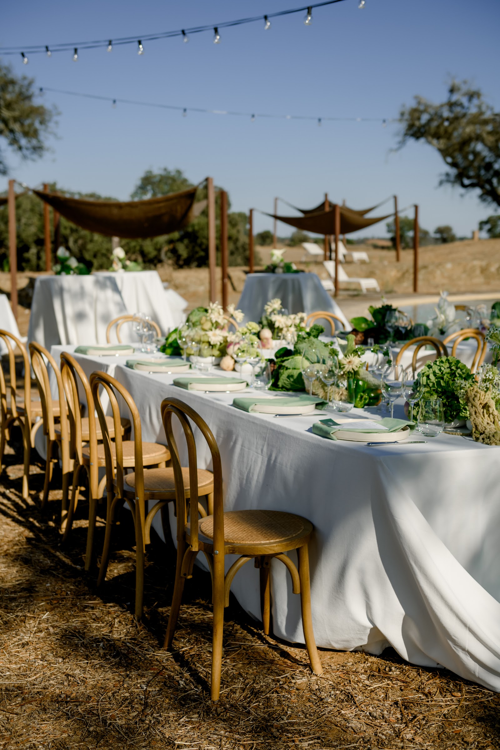 Piáto Lisboa - Catering and Events