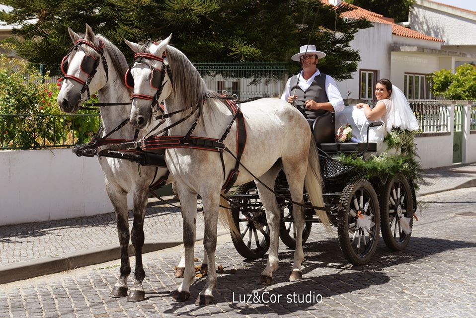 Luz & Cor-studio