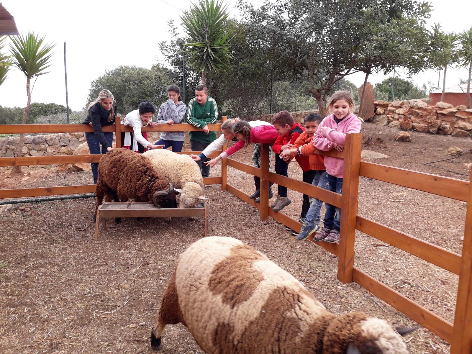 Monte das Farrobas