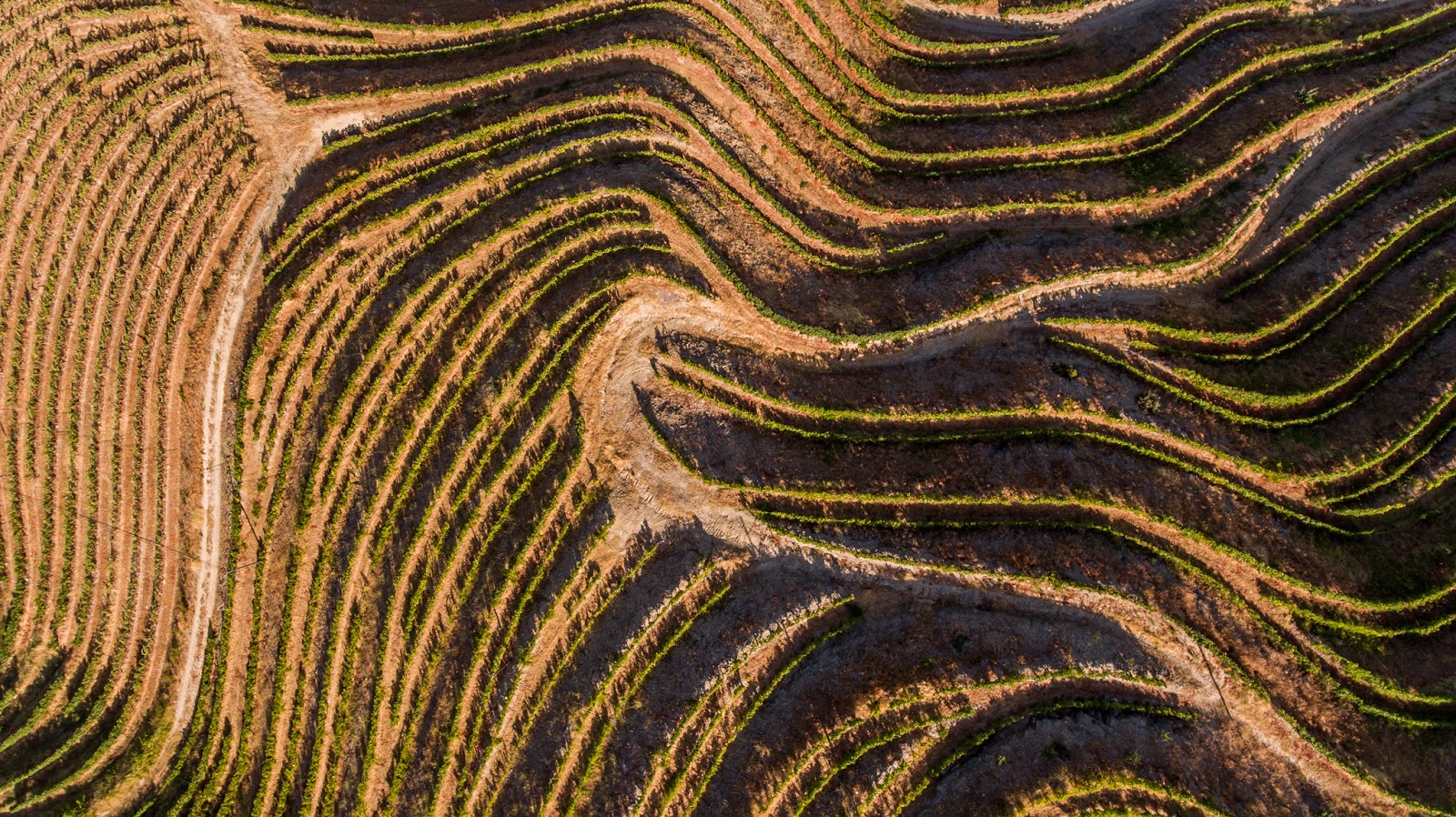 Pêra doce