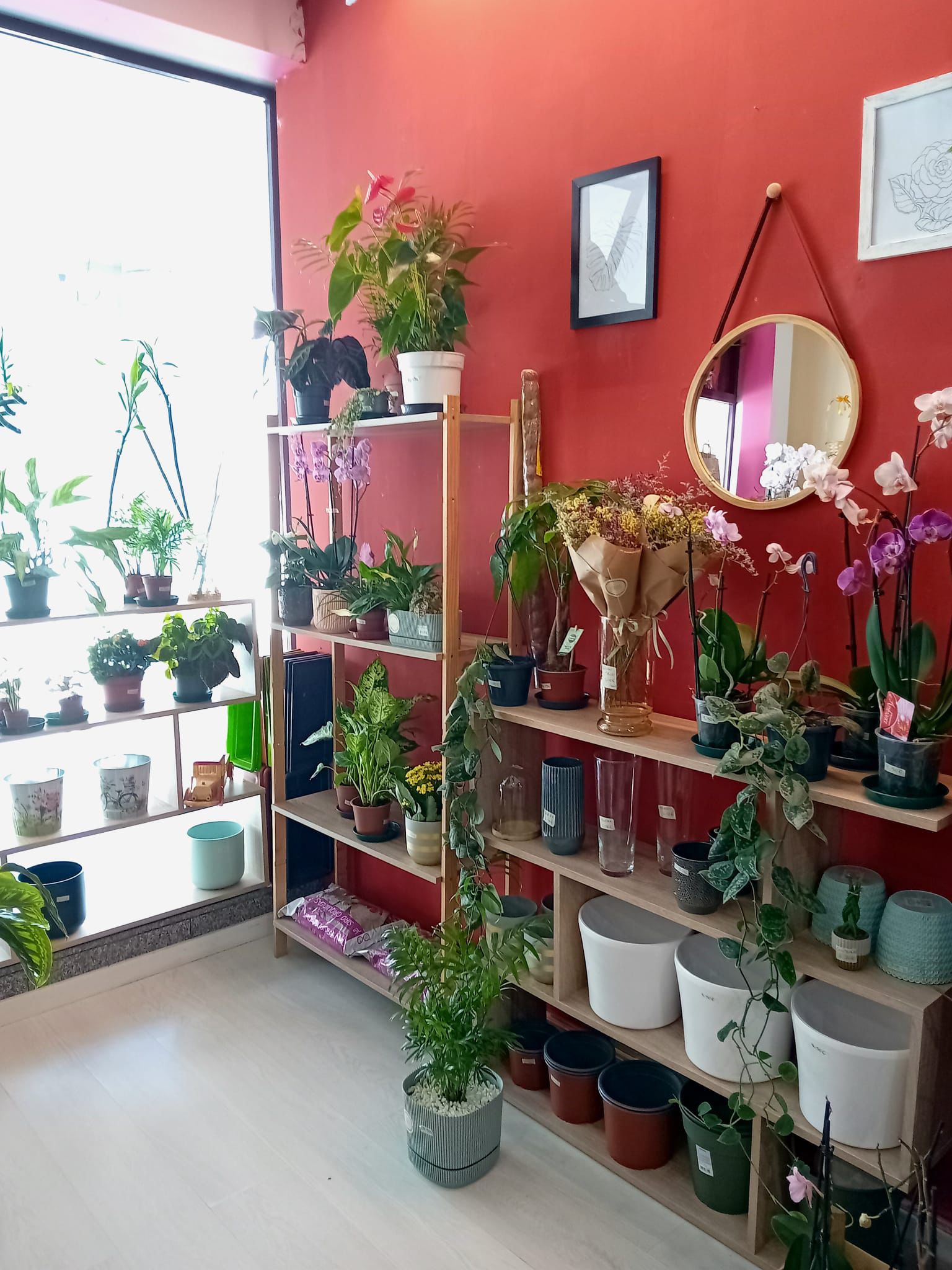 Oasis Pombal
