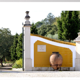 Agro-Quinta de S. Gens