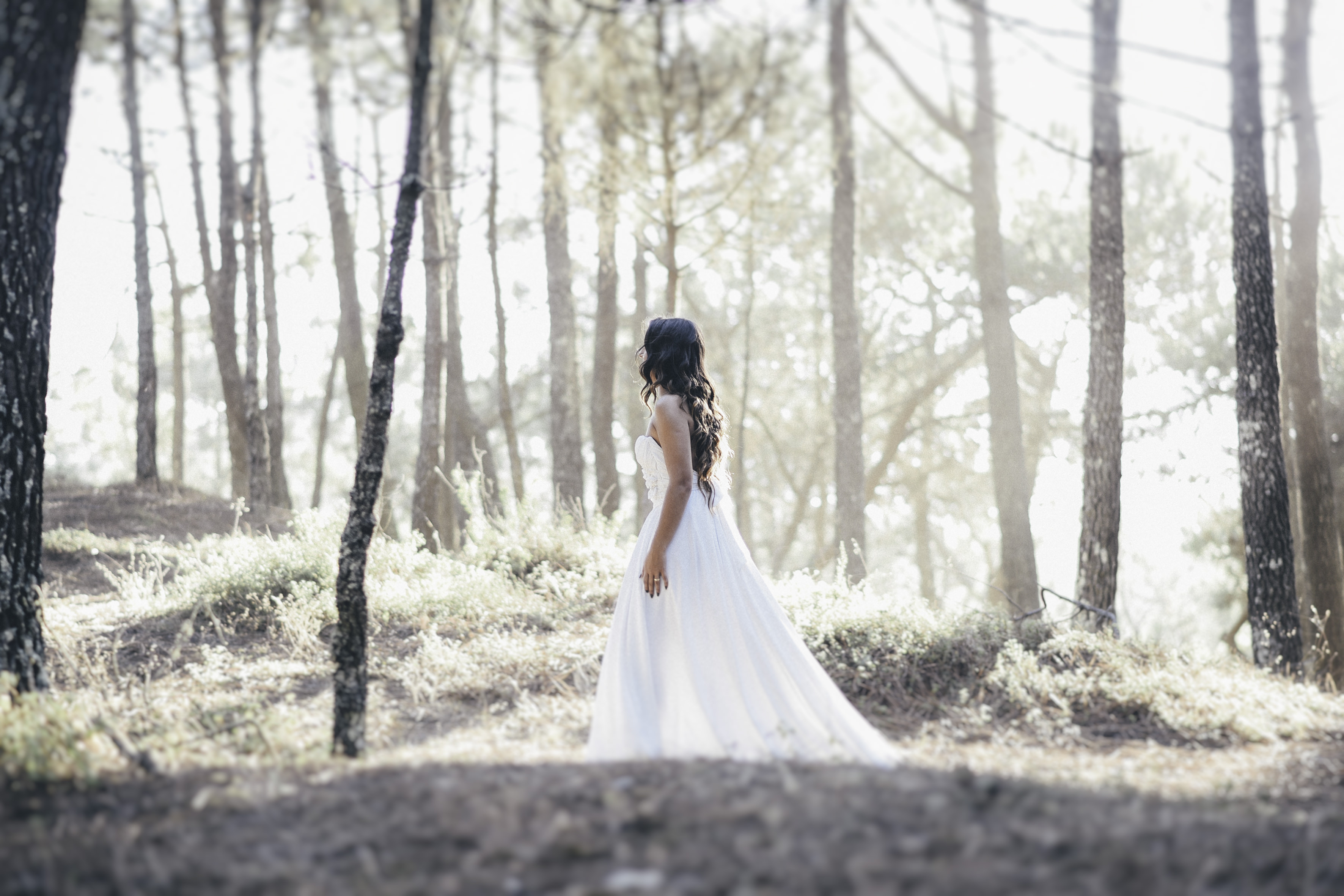 Marco Claro Photography