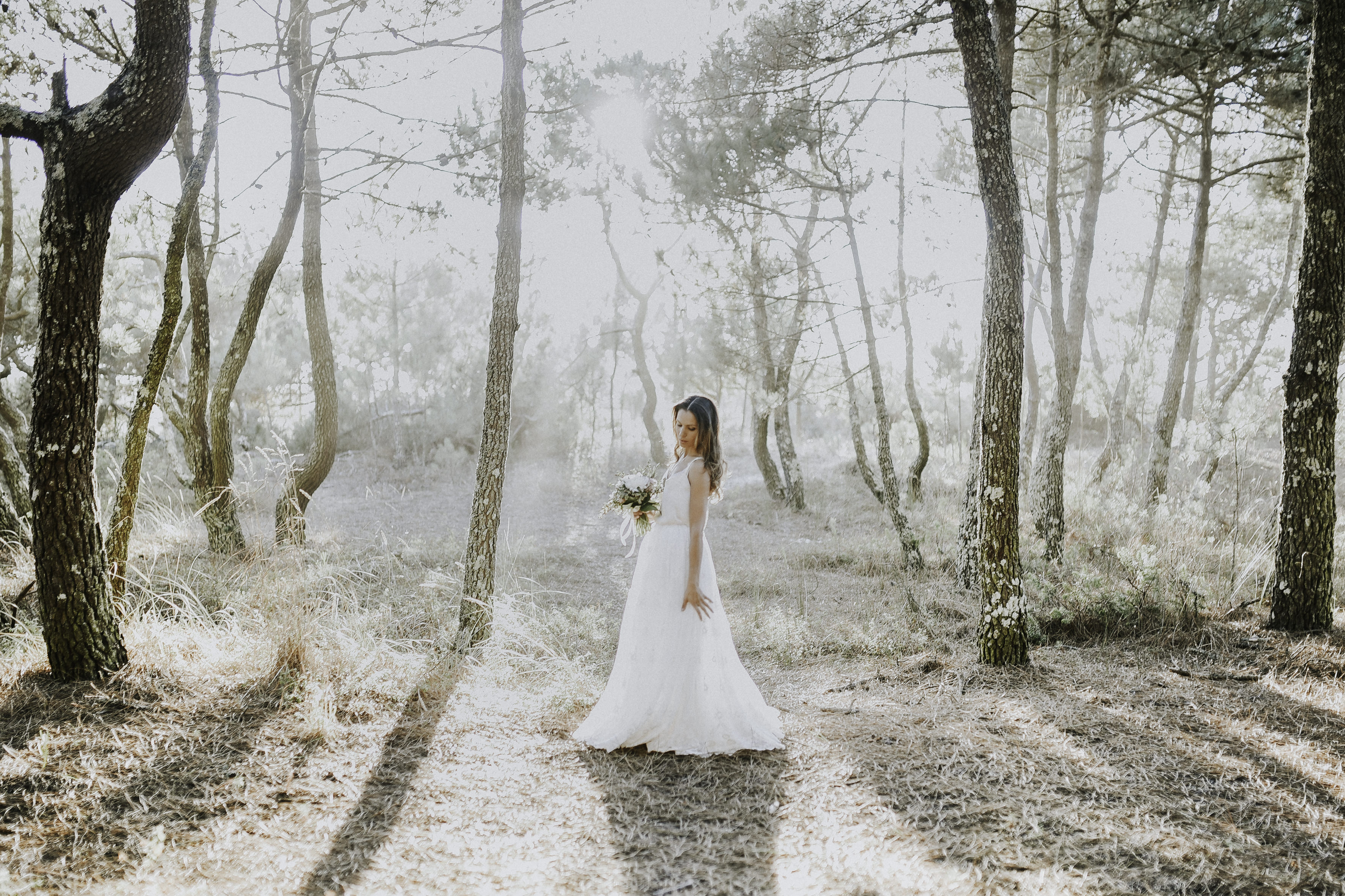 Marco Claro Photography