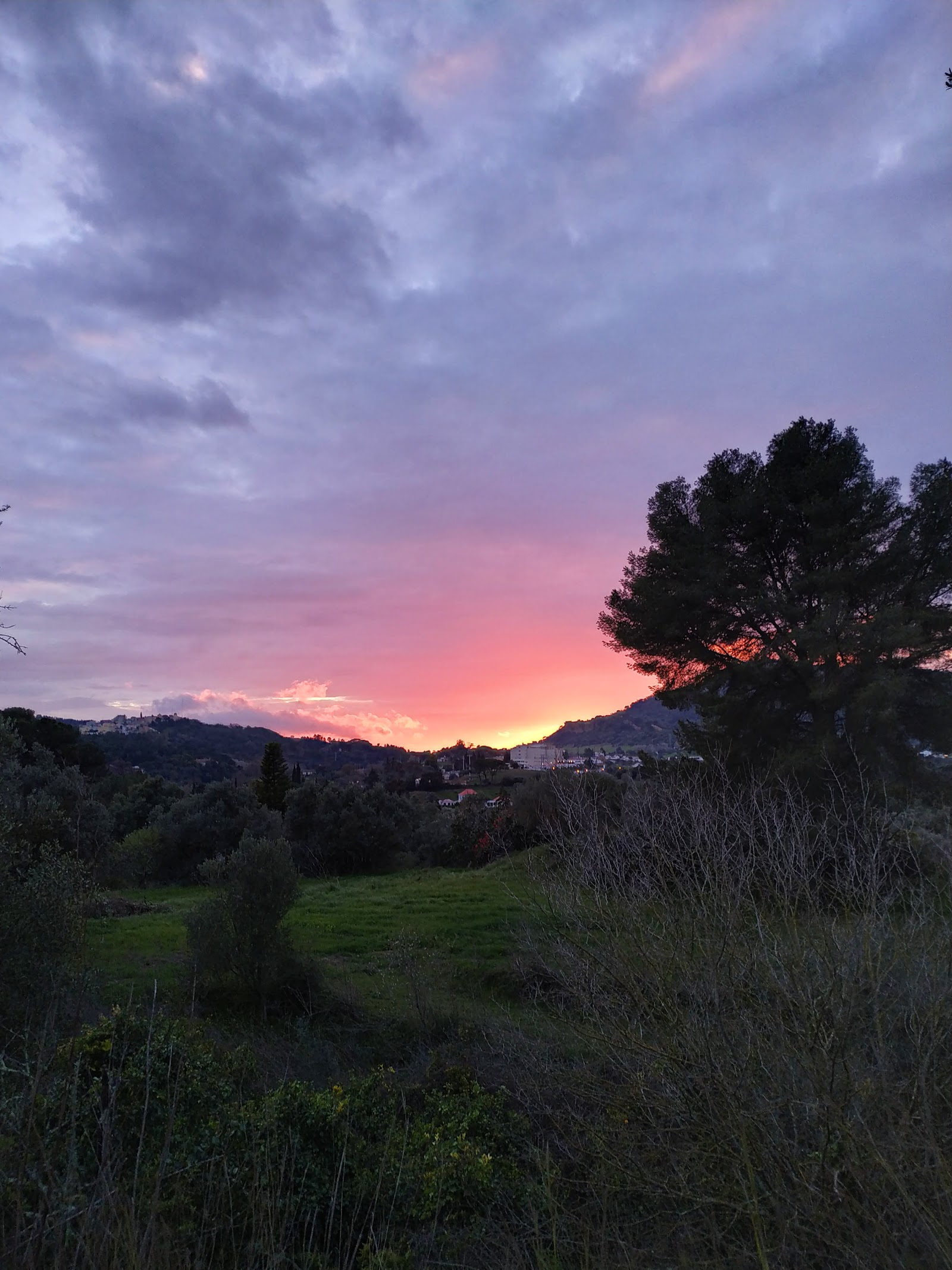 Quinta dos Bonecos