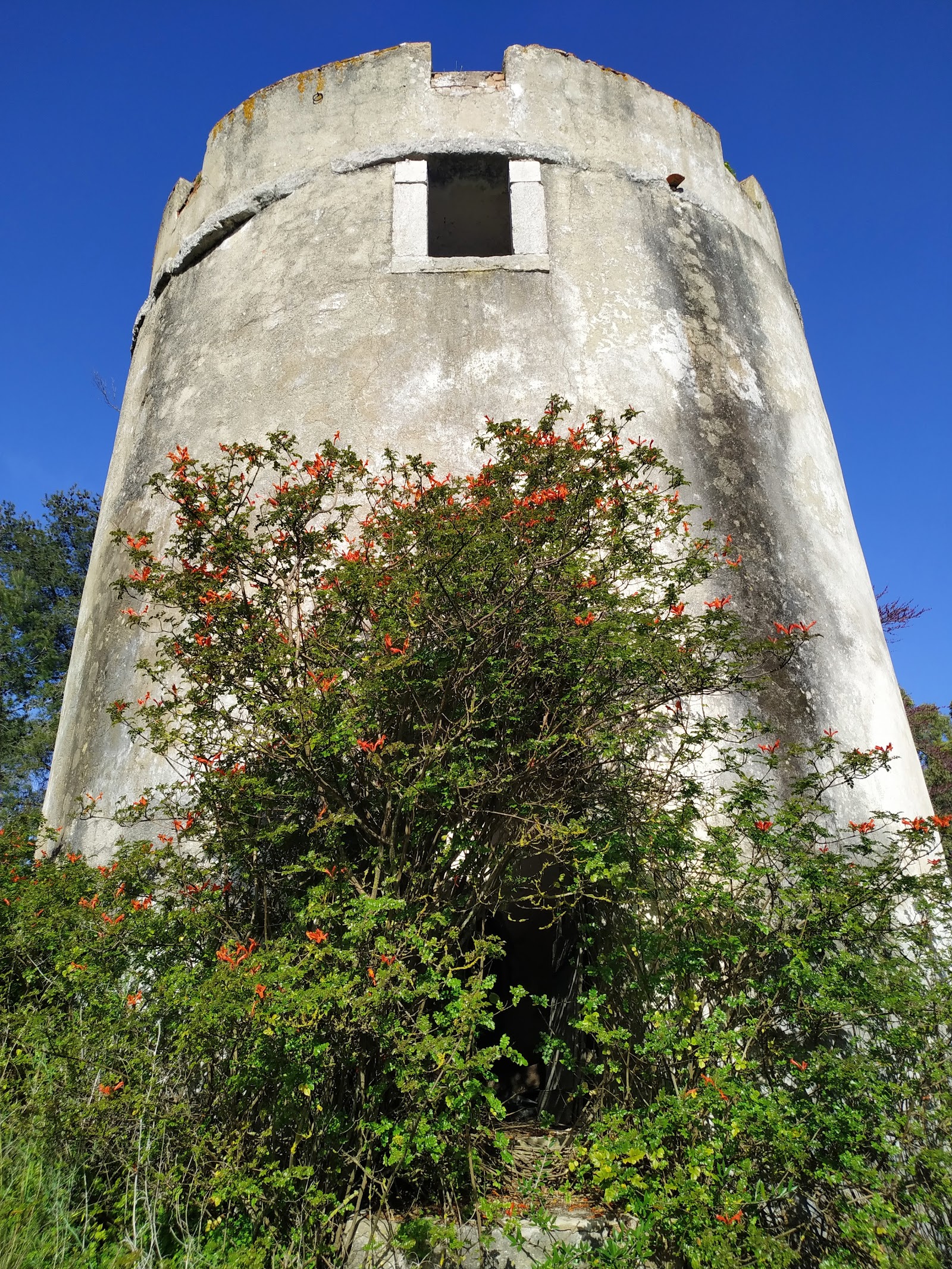 Quinta dos Bonecos