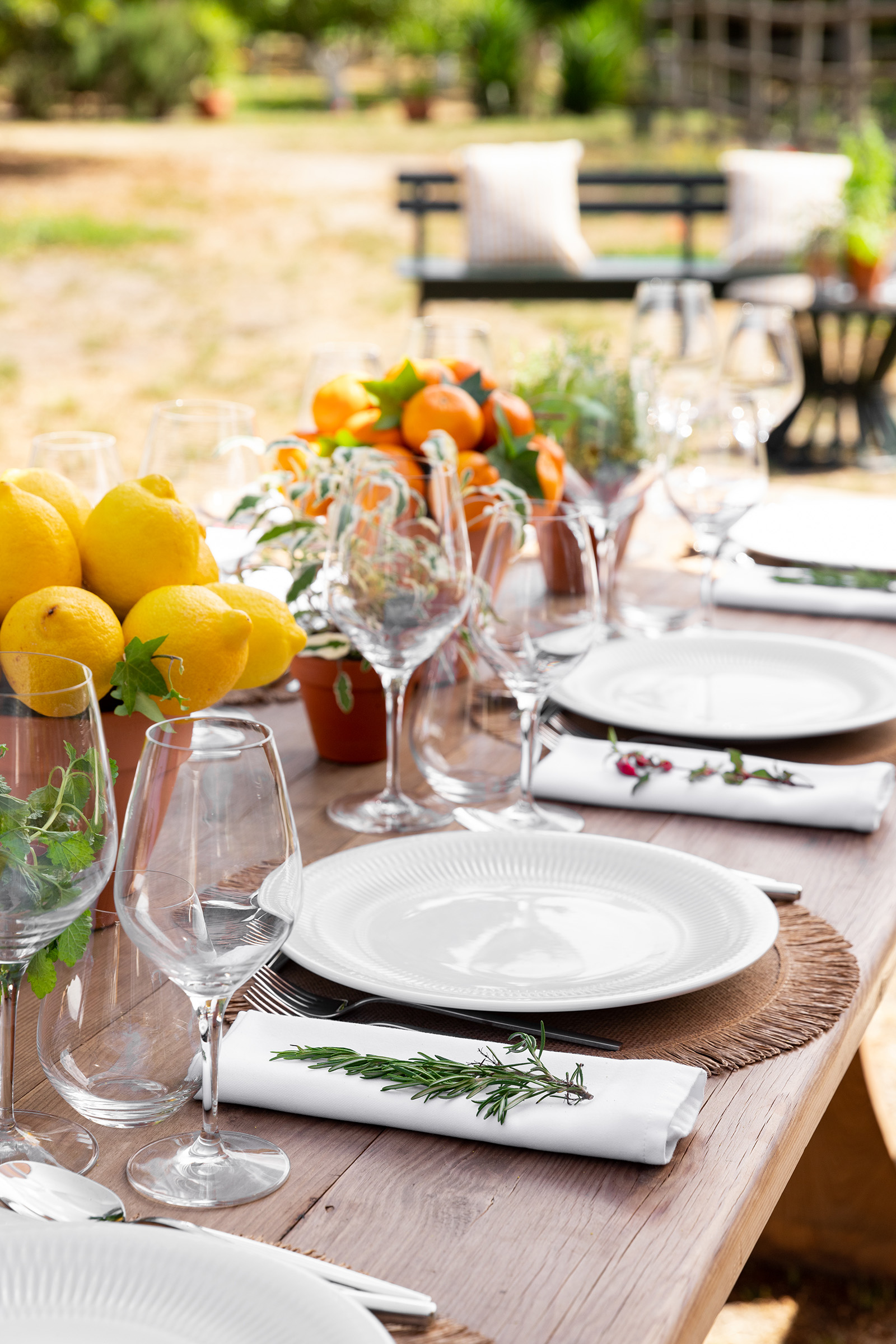 Blank - Catering e Eventos