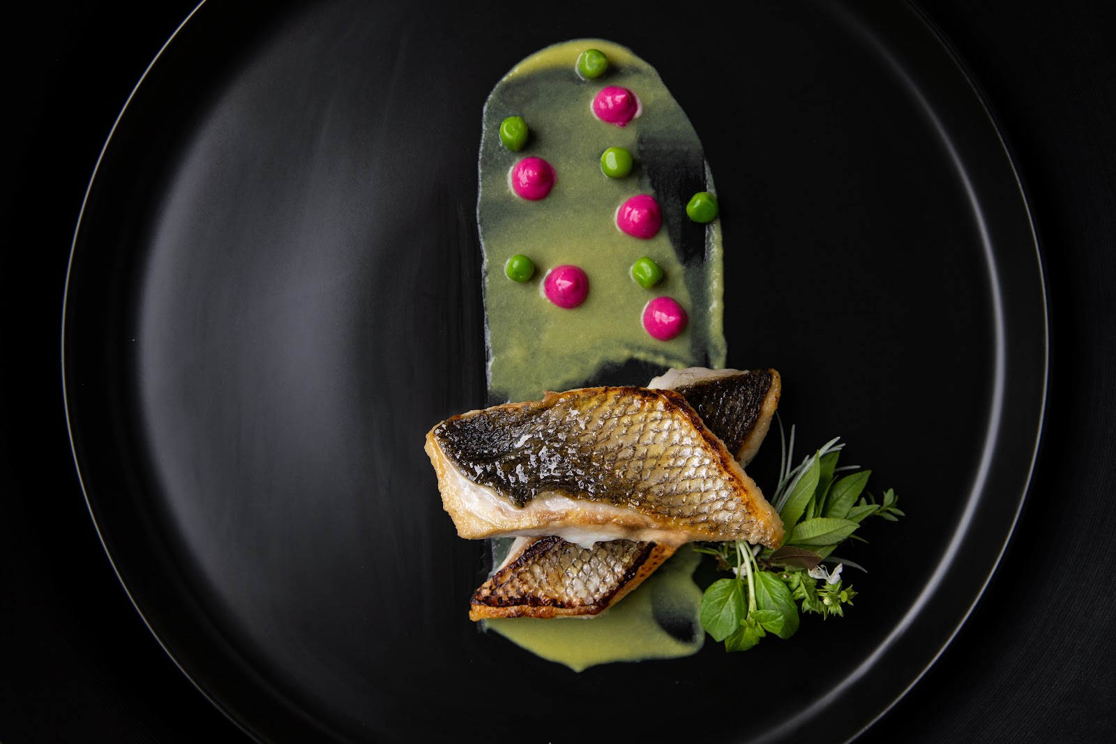 Blank - Catering e Eventos