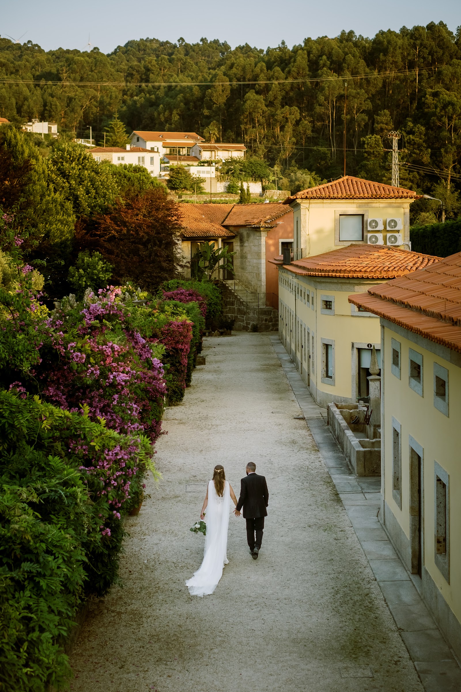 Rui Costa Freire Photography
