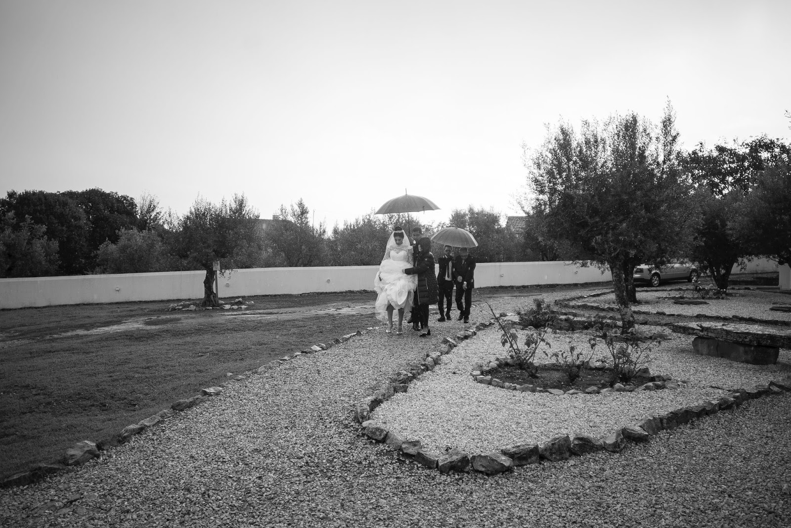 Maria Miguel Weddings
