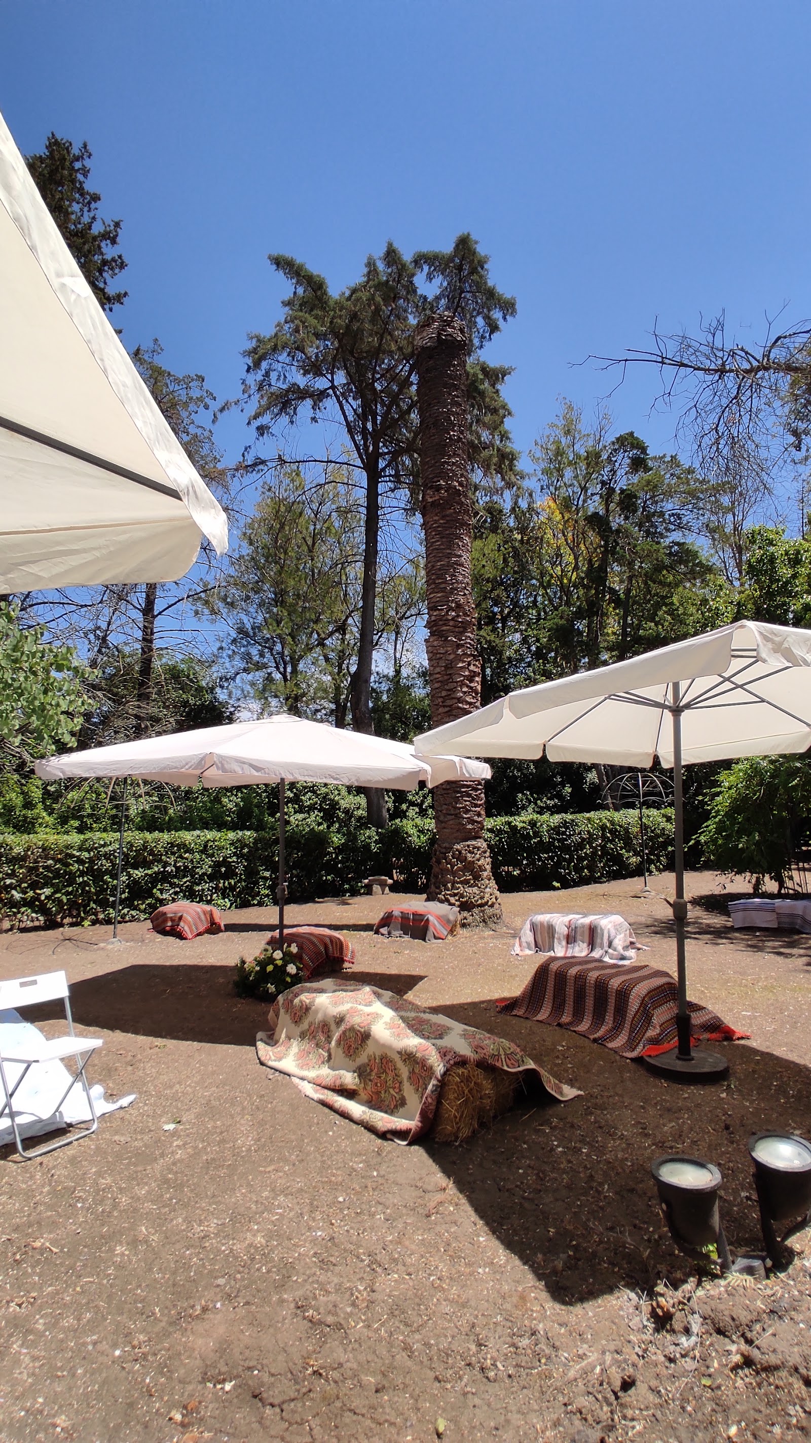 Quinta da Suratesta