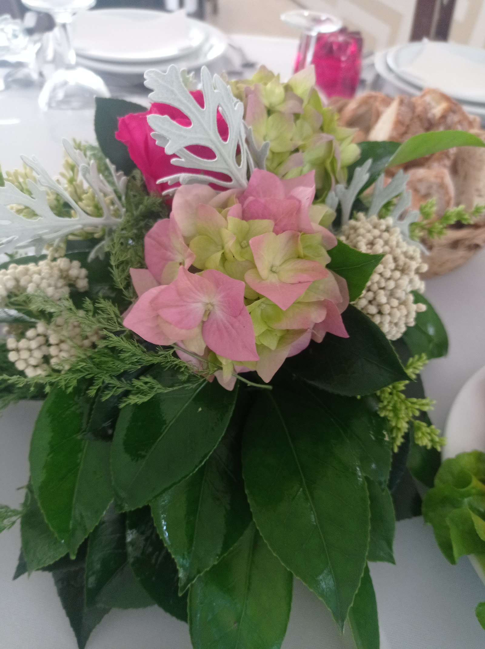 Viveiros CentroPlantas