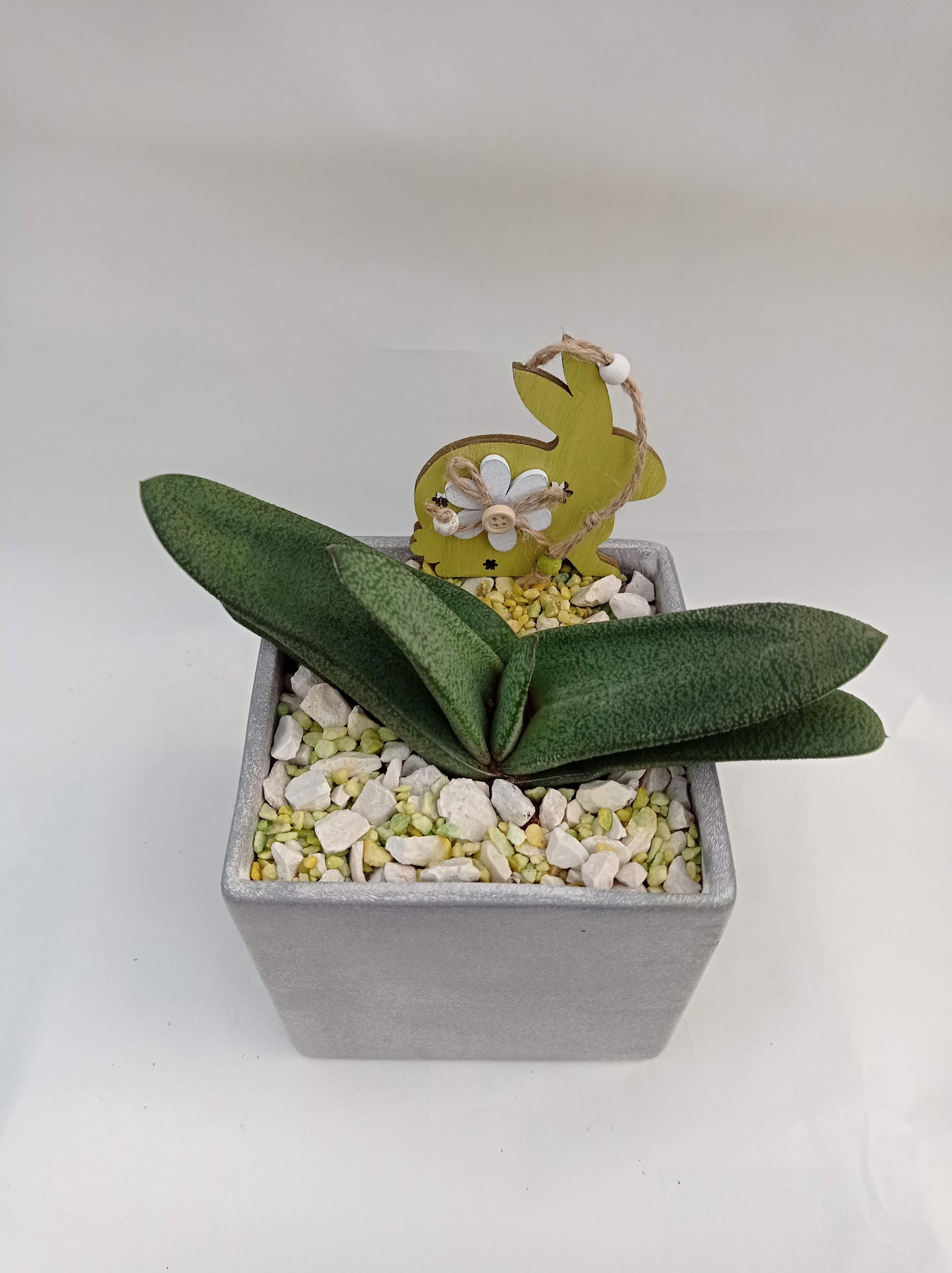 Viveiros CentroPlantas