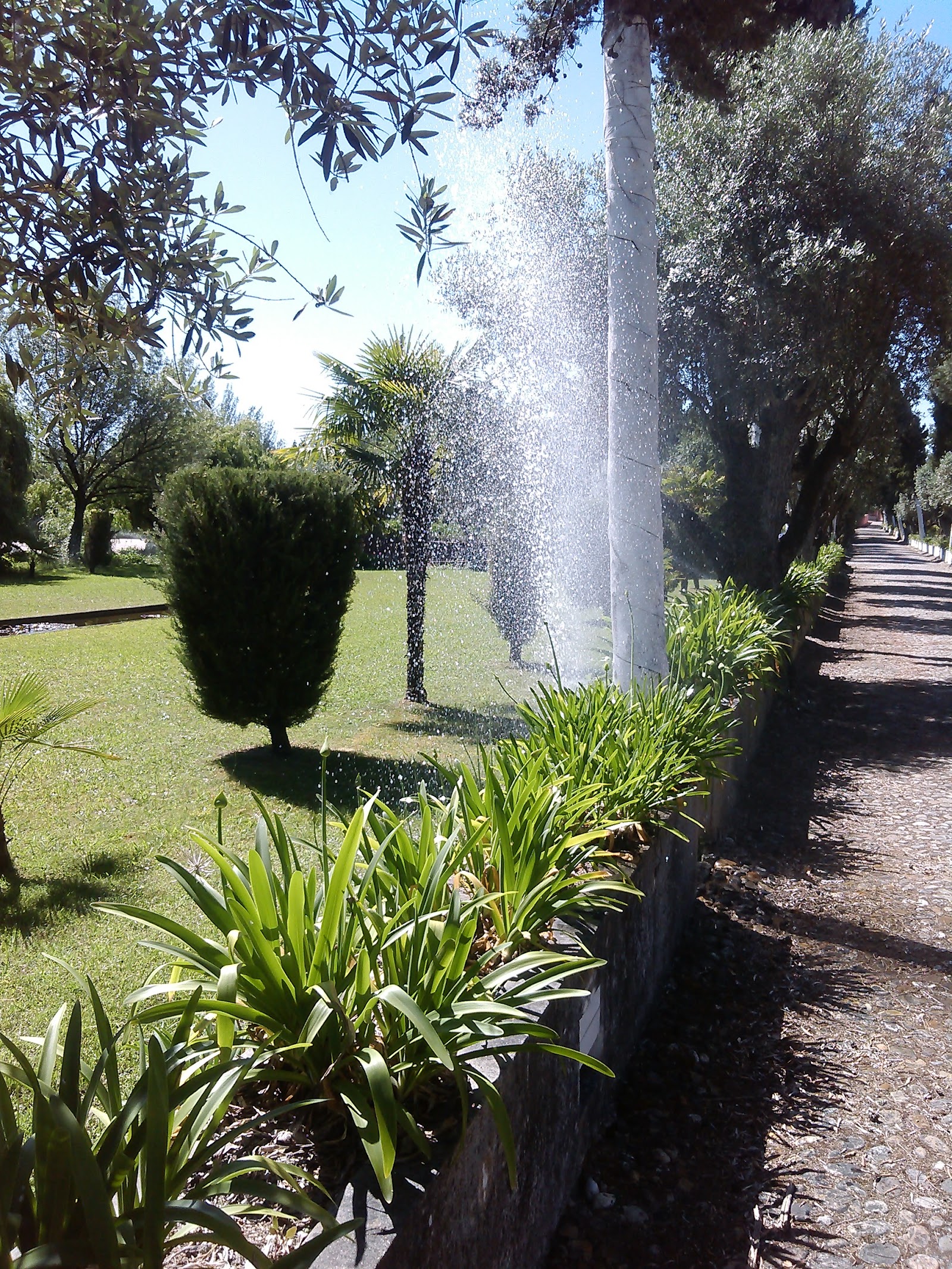 Quinta do Seminário