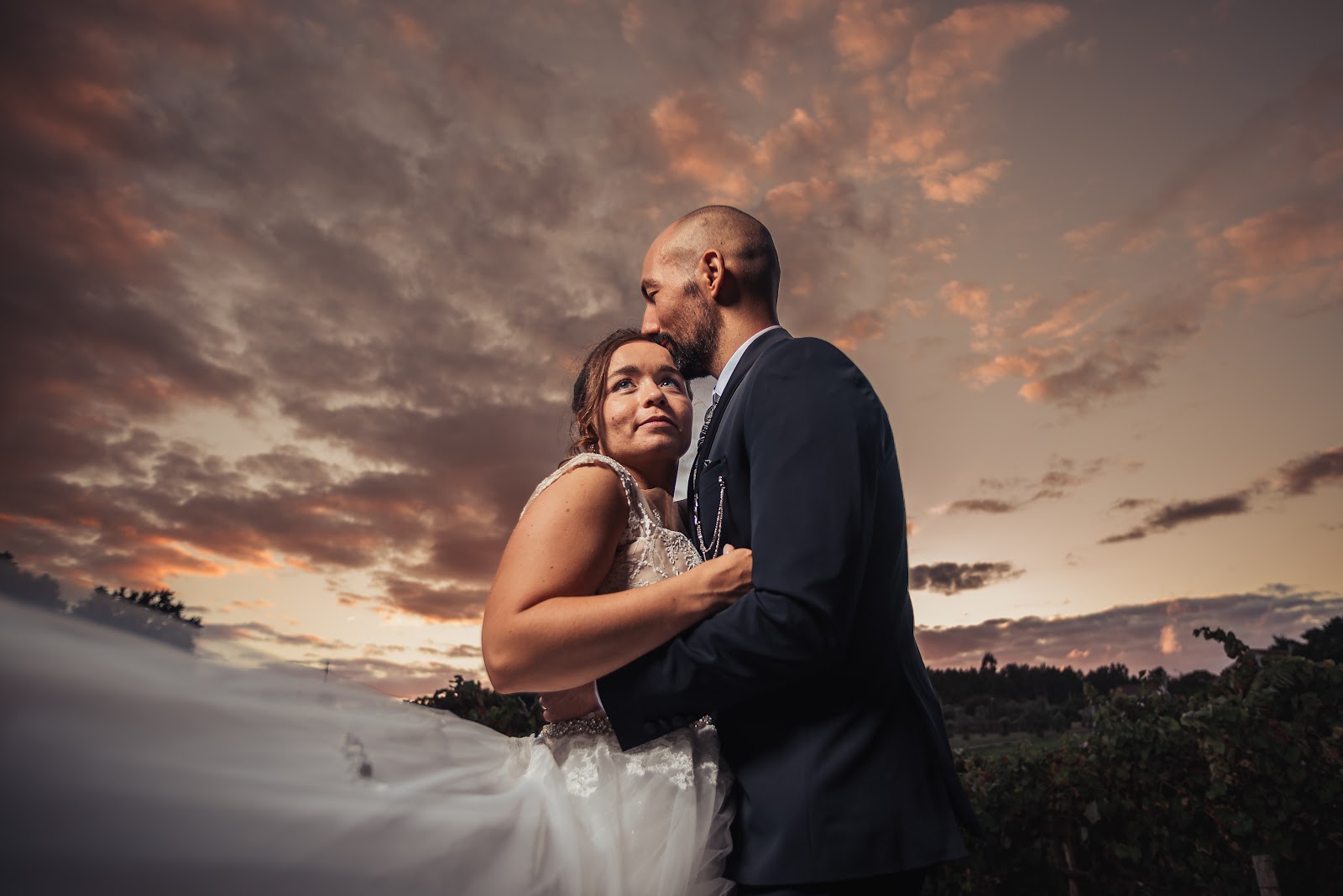 David Cardoso Photography