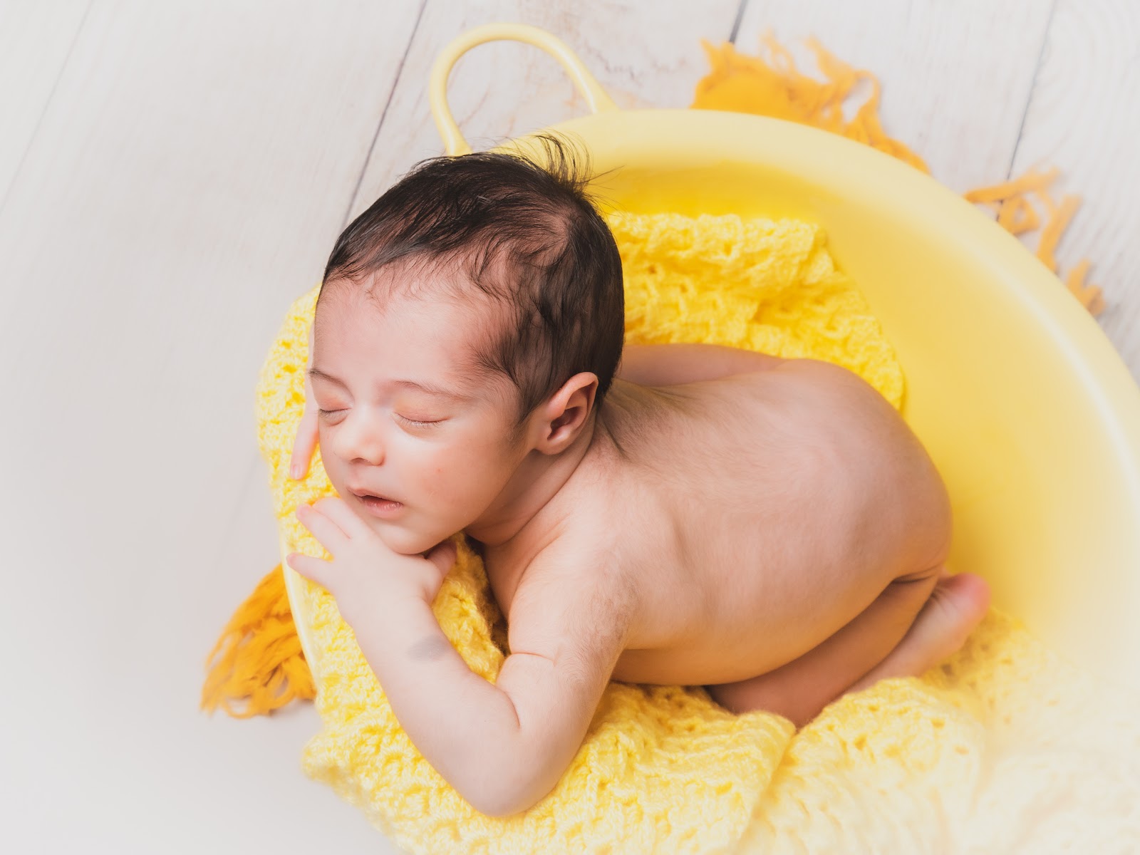 Estrelinhas Estudio de Fotografia