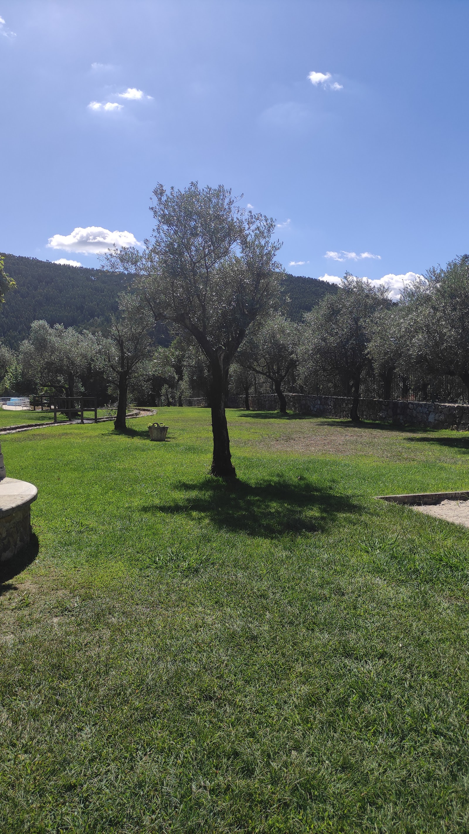 Quinta da Nora
