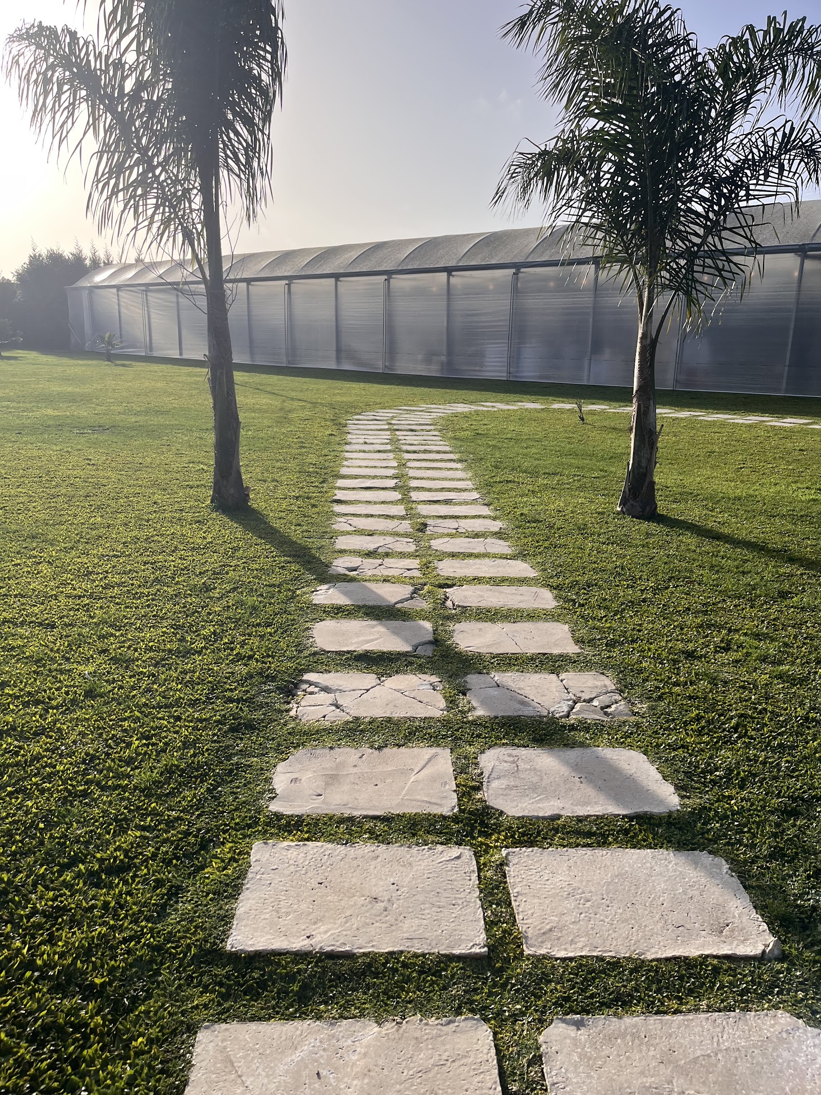 GreenHouse Events