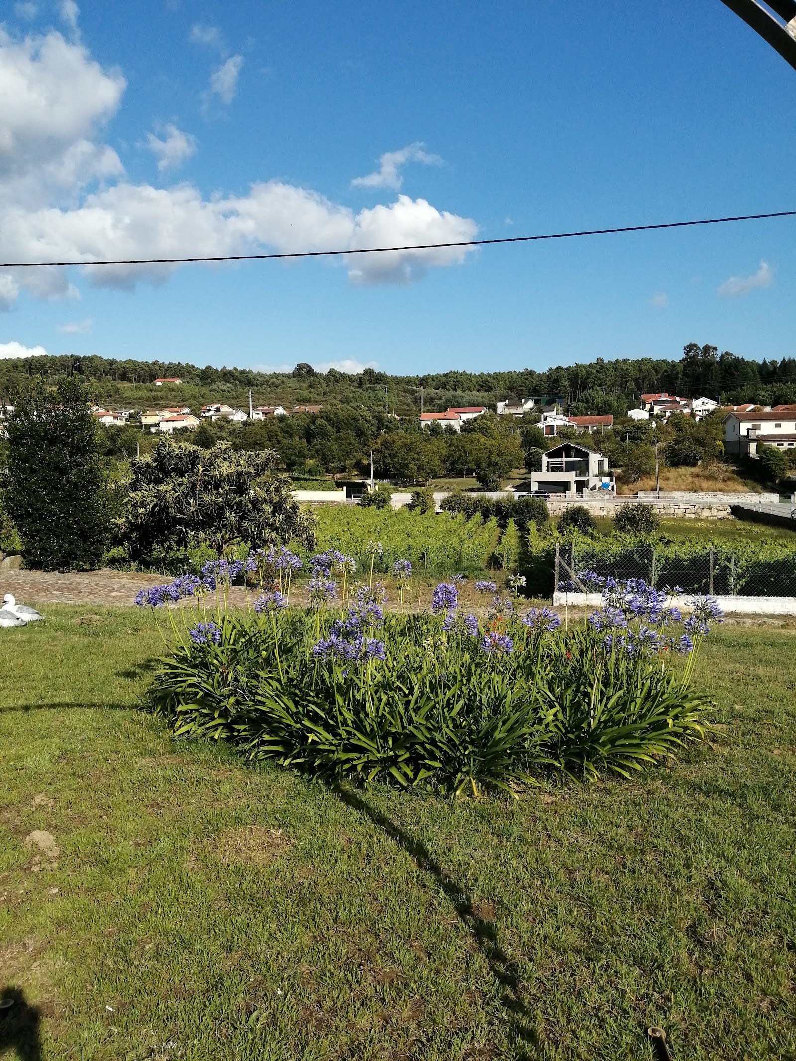 Quinta de Santo António-Alojamento Local