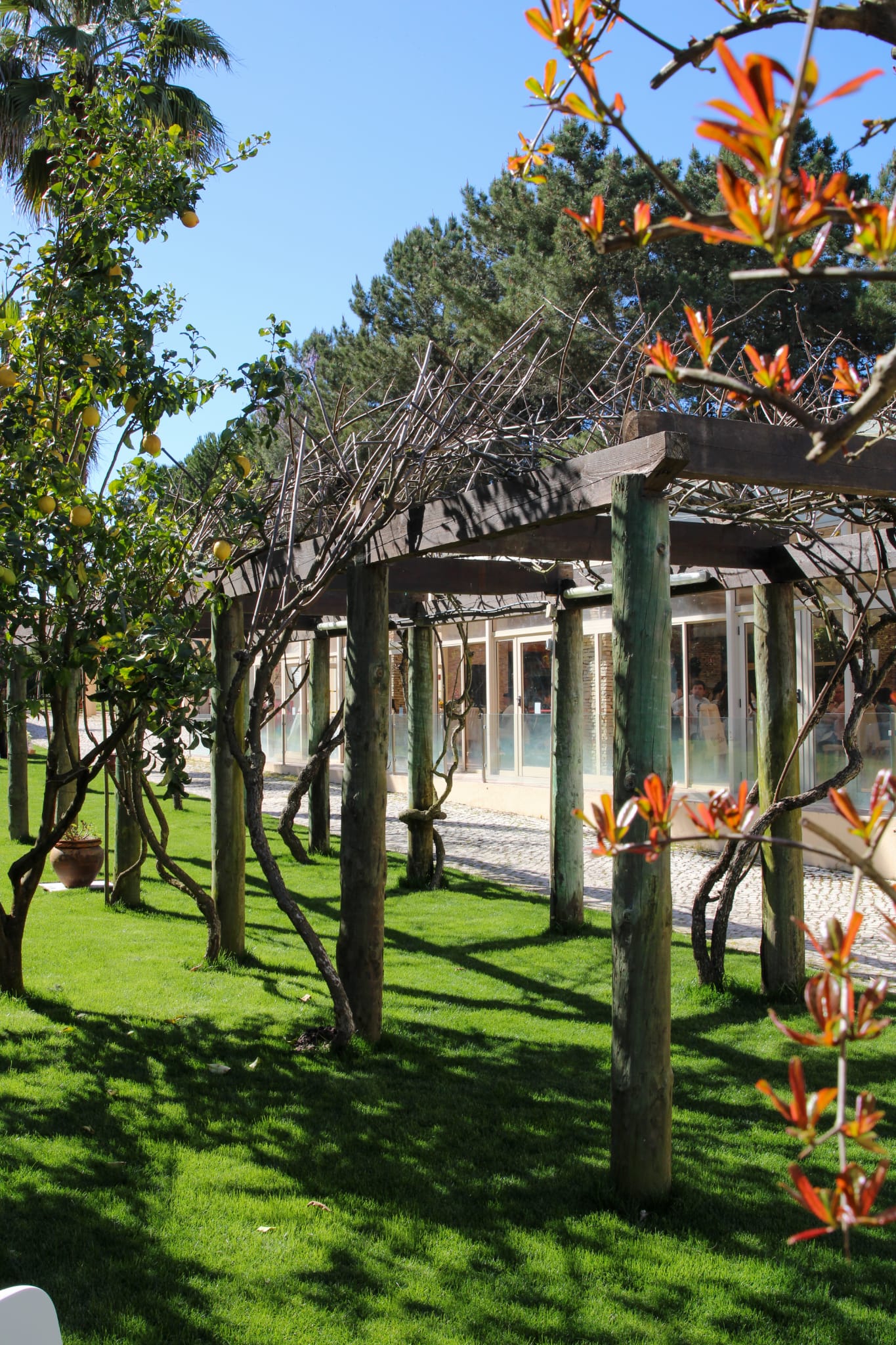 Quinta dos Plátanos (Palmela)