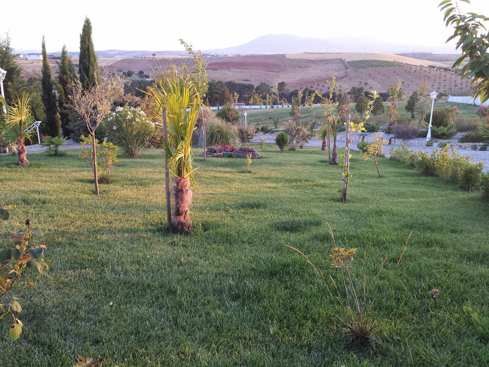 Quinta Bodas de Caná