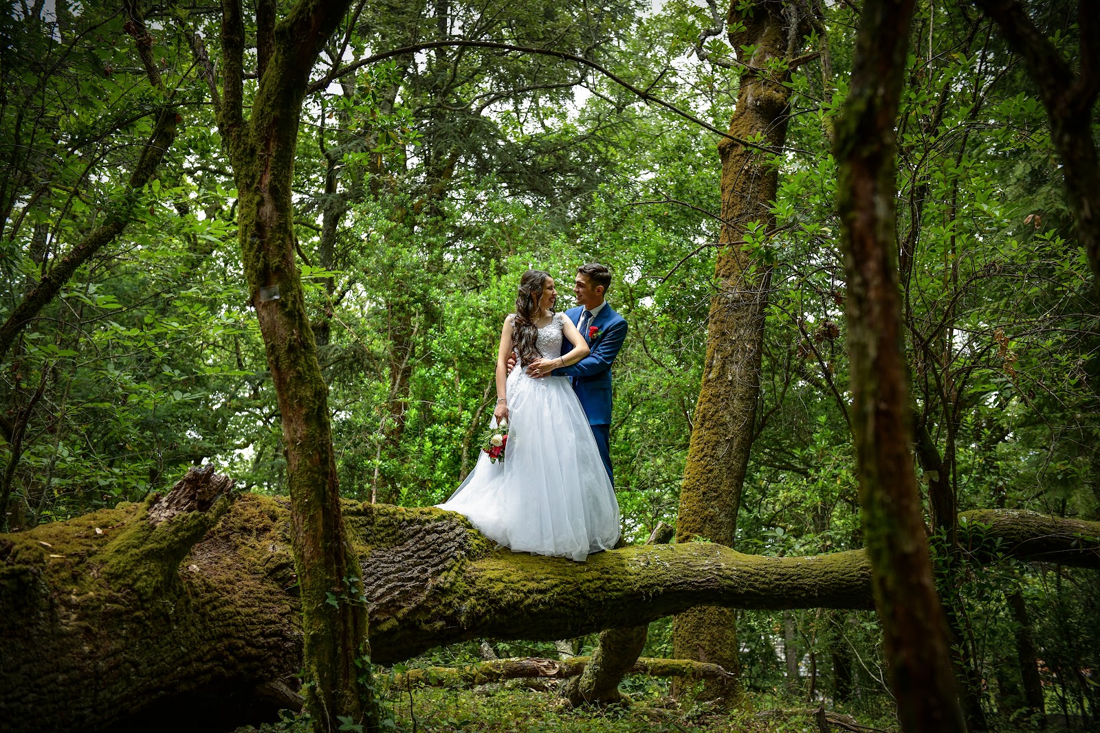José Macedo Fotografia