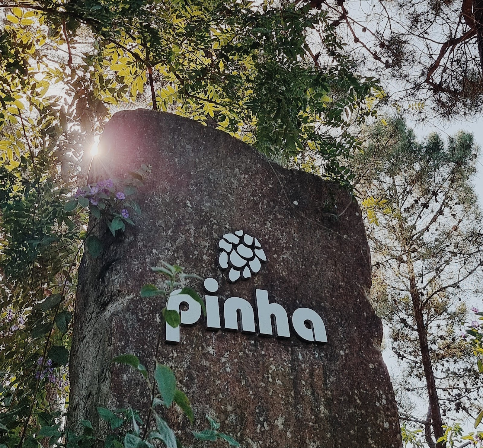 Pinha Eventos